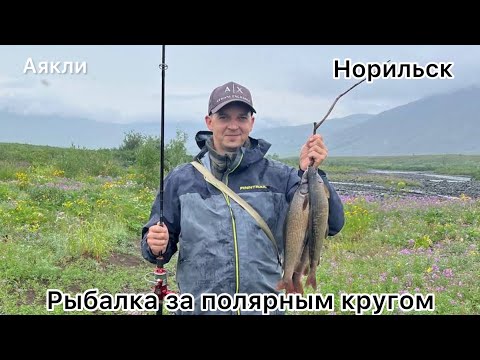 Видео: Рыбалка на речке Аякли за полярным кругом. Поймали хариусов. Ночь в палатке.