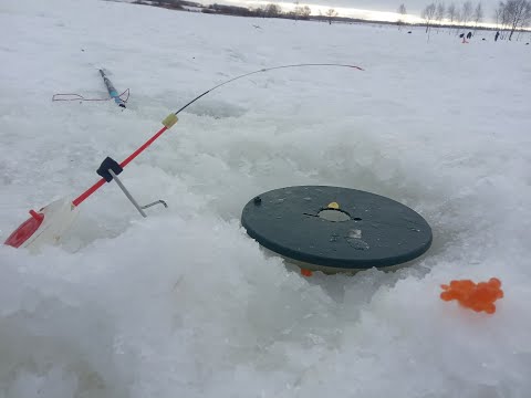 Видео: КАК ЛОВИТЬ ФОРЕЛЬ НА ИКРУ ЗИМОЙ? ПОКАЗЫВАЮ НА ДЕЛЕ!