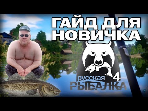 Видео: Русская рыбалка 4 - обзорный гайд для новичка в 2024\2025 | Лечит СДВГ?