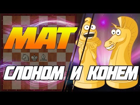 Видео: КАК ПОСТАВИТЬ МАТ КОНЕМ И СЛОНОМ? Уникальный метод - 100% вы этому научитесь!