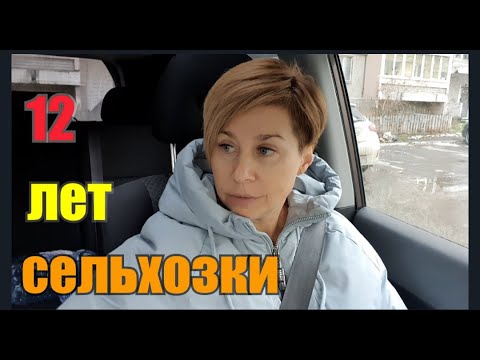 Видео: Какую скотину ВЫГОДНО держать》Почему козы и куры?