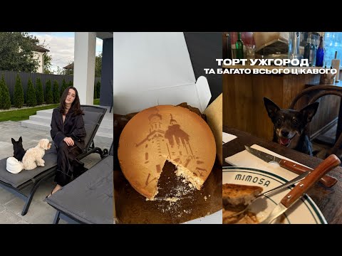 Видео: Покупки в Sinsay, bubble tea, веганські пончики та новий одяг )
