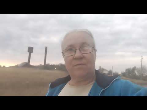 Видео: Веснушка🐄 пошла в стадо. Продолжение...