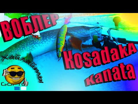 Видео: №54 Щука осенью на спиннинг❗ Воблер на щуку осенью❗ Ловля щуки на воблер ❗