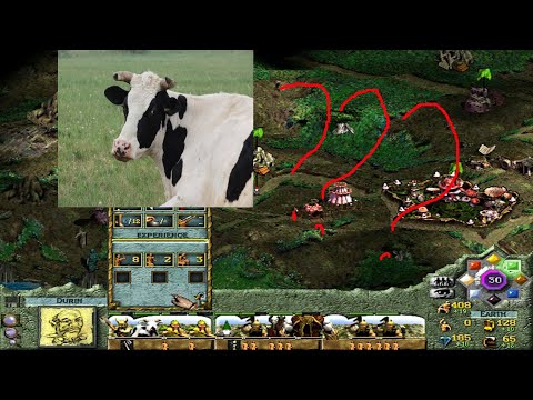 Видео: Lords of Magic прохождение на русском. часть 3.