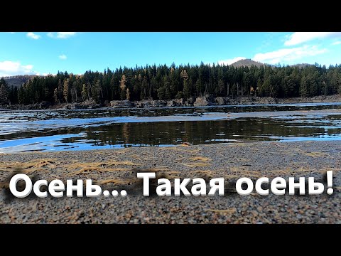 Видео: Осенние пейзажи. Покатушки на мотоцикле. Жизнь в деревне.