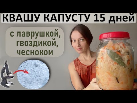 Видео: ЖКТ сказал спасибо!  Квашеная капуста со специями (смотрим под микроскопом)