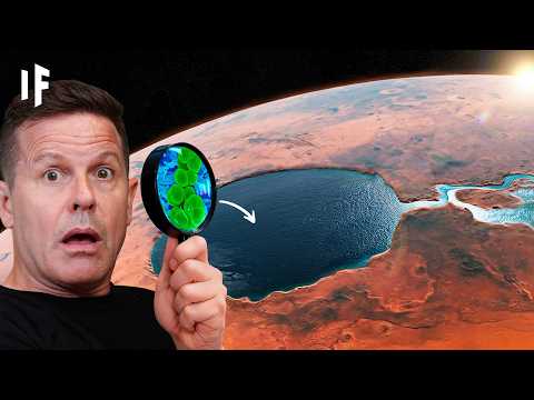 Видео: Что, если бы вы жили на Марсе 1 миллиард лет назад?