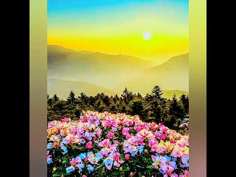 Видео: ФЕЛИКС ЗИГЕЛЬБАУМ: "НОВЫЕ РОМАНСЫ" - СБОРНИК 2.