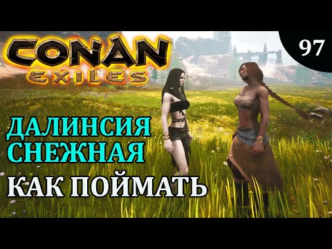 Видео: Conan Exiles ТОП БОЕЦ ДАЛИНСИЯ СНЕЖНАЯ как поймать