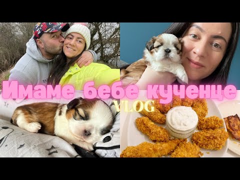 Видео: ИМАМЕ БЕБЕ КУЧЕНЦЕ | ВЛОГ | ЖИВОТ В АНГЛИЯ | Elly's Vlogs #англия #влог