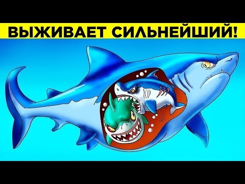 Видео: Худшие Родители Среди Животных