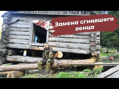 Видео: Как заменить сгнивший венец. Отбеливаю дом