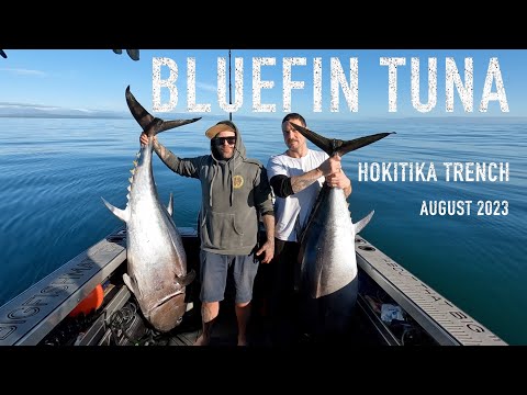 Видео: Голубой тунец в собачьем ящике - Хокитика, впадина Южный остров Новая Зеландия - DNA Boats 630XHT