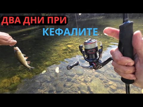 Видео: ДВА ДНИ ПРИ КЕФАЛИТЕ