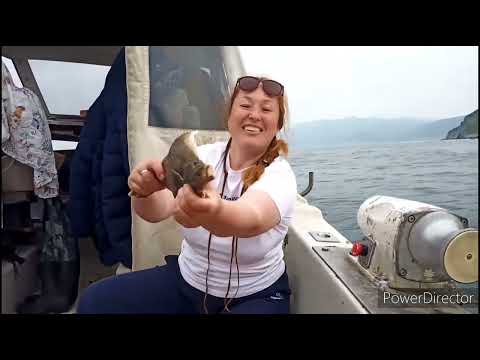 Видео: Два дня на острове Недоразумения в Охотском море.