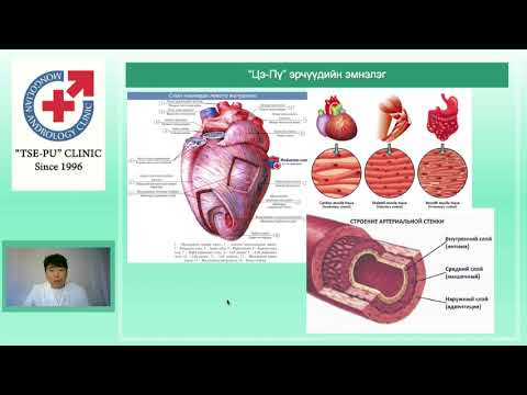 Видео: Саркопени  булчингийн дутмагшил