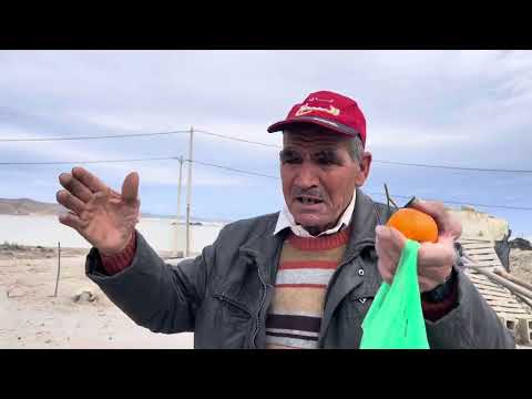 Видео: У НАС ЗАГОРЕЛАСЬ ФЕРМА! Мануэль передаёт всем привет.