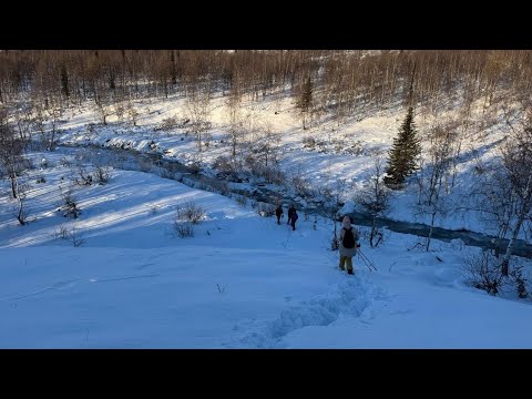 Видео: Едем на Собь.