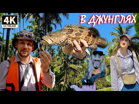 Видео: С ЖЕНОЙ НА НЕДЕЛЮ В ДЖУНГЛИ. Рыбалка зимой в Индии.