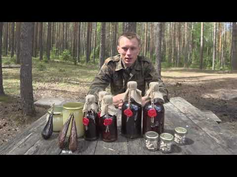 Видео: Струя бобров Медвежья желчь Барсучий жир