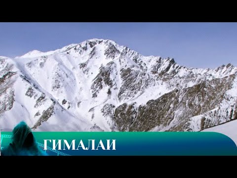 Видео: ГИМАЛАИ 1. ДОКУМЕНТАЛЬНЫЙ. Лучшие фильмы!!!
