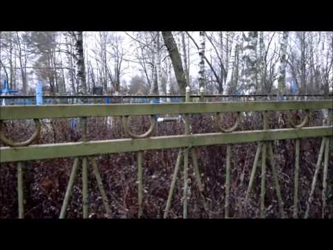 Видео: Малая Родина (.Д.Железники.Ветковского р-на.)