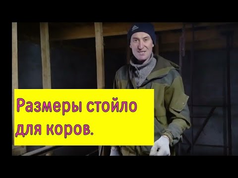 Видео: Как мы сделали стойло для коров, покажем размеры.