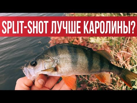 Видео: SPLIT-SHOT Когда джиг молчит - он ловит! Подробный обзор. Практика на водоёме | Рыбалка с Fishingsib