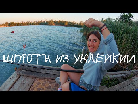 Видео: Рыбалка на уклейку(Себель) / Рецепт домашних шпрот из уклейки