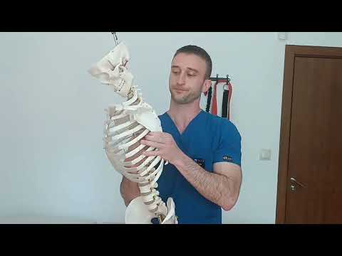 Видео: Тендинопатия на ротаторен маншон: