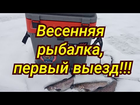 Видео: Рыбалка близ Алматы. Весенняя ловля форели.