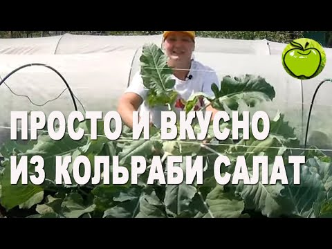 Видео: Кольраби вырастили и приготовили очень вкусный полезный салат.