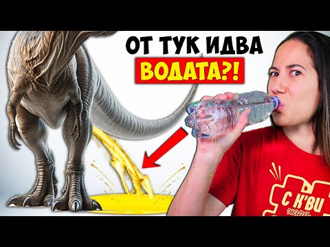 Видео: 11 Изумителни Факта за ВОДАТА