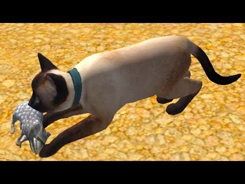 Видео: Симулятор КОТА и КОШКИ #2 Босс Мышь против Кида. Сиамская порода на пурумчата