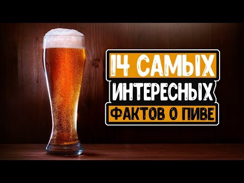Видео: 14 интересных фактов о пиве, заставляющих уважать напиток