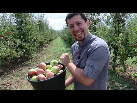 Видео: БУЛИ НА СЕЛІ №28 Коболчин Частина друга