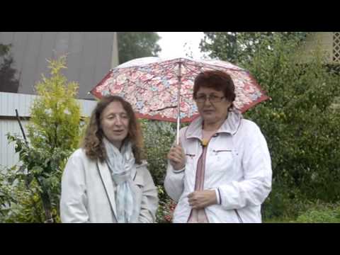 Видео: Сад фуксий в Ленинградской области
