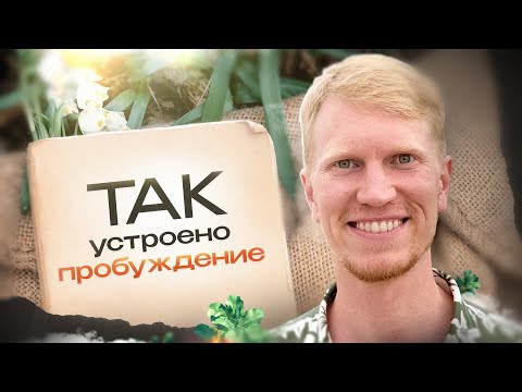 Видео: Пробуждение. Что на самом деле это такое? Как оно Происходит и Что дает человеку? | Иван Ананда