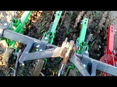 Видео: КУЛЬТИВАТОР ДЛЯ ЧЕСНОКА