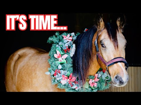 Видео: У нас есть объявление о «Доджере»…