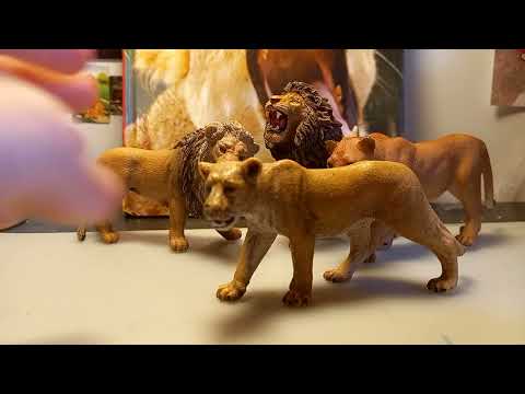 Видео: мой львиный прайд шляйх