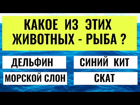 Видео: Насколько вы умны?  Интересный тест на эрудицию