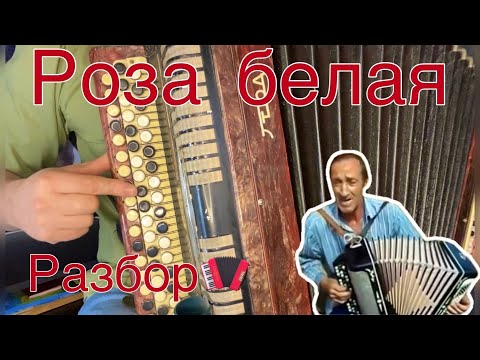 Видео: Красивая песня "РОЗА БЕЛАЯ" Учимся играть на баяне (РАЗБОР)