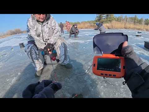 Видео: Море КАРАСЯ Потом САЗАНИ, Крута рибалка на кивок