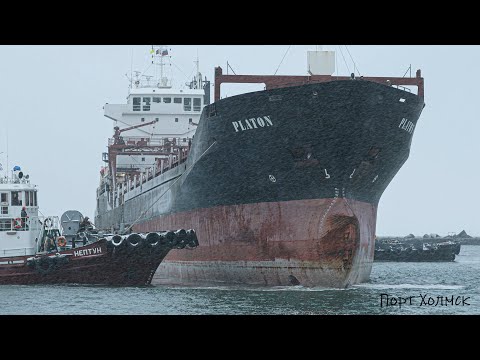 Видео: Сухогруз «Platon», порт Холмск