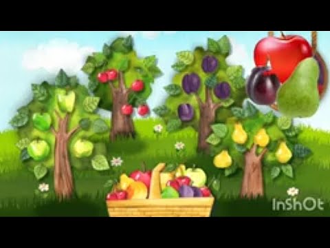 Видео: "Дари осені"(фрукти) Дитина в природному довкіллі  🍎🍒  "Gifts of Autumn"