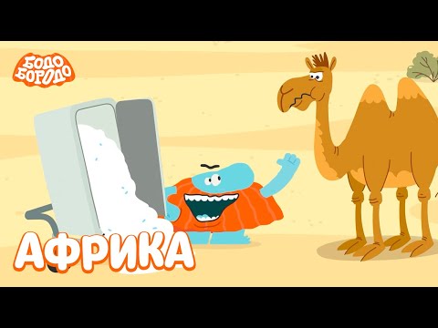 Видео: Бодо в Африке. МЕГА СБОРНИК - Бодо Бородо | мультфильмы для детей 0+