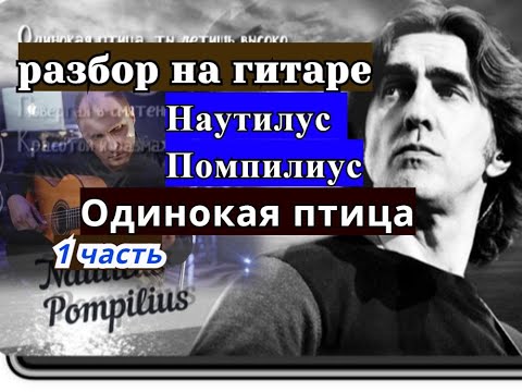 Видео: ОДИНОКАЯ ПТИЦА. Наутилус Помпилиус. Вступление. Урок 1 #урокигитары  #разборпесен #гитара #guitar
