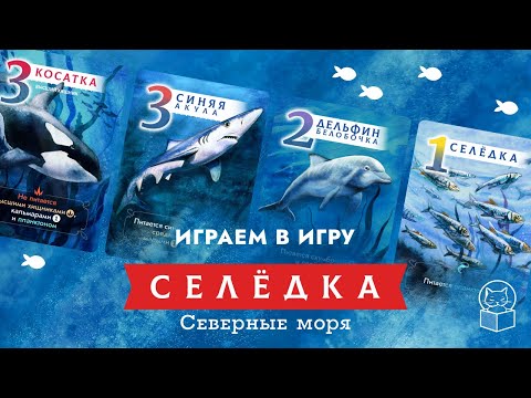 Видео: Селёдка: Северные моря — Играем в новую настольную игру